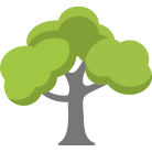 Springfield Tree Trimming Service