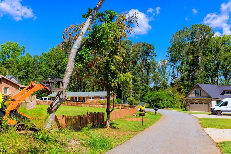Emergency Tree Removal Equipment in Action